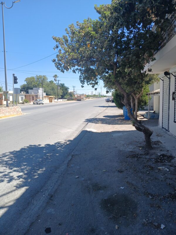 Renta de locales comerciales - China, Nuevo León